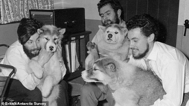 101101281-0-Dennis_Bell_on_left_with_dogs-a-4_1754905091228
