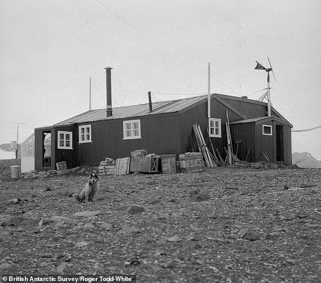 101101291-14989441-Pictured_the_main_hut_of_Admiralty_Bay_Station_where_Dennis_Tink-a-26_1754908872959