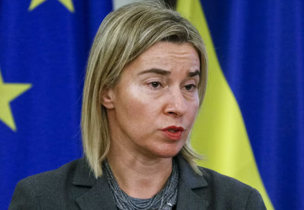 7bc14c33711e5eda91d42a236a3613b1 7bc14c33711e5eda91d42a236a3613b1