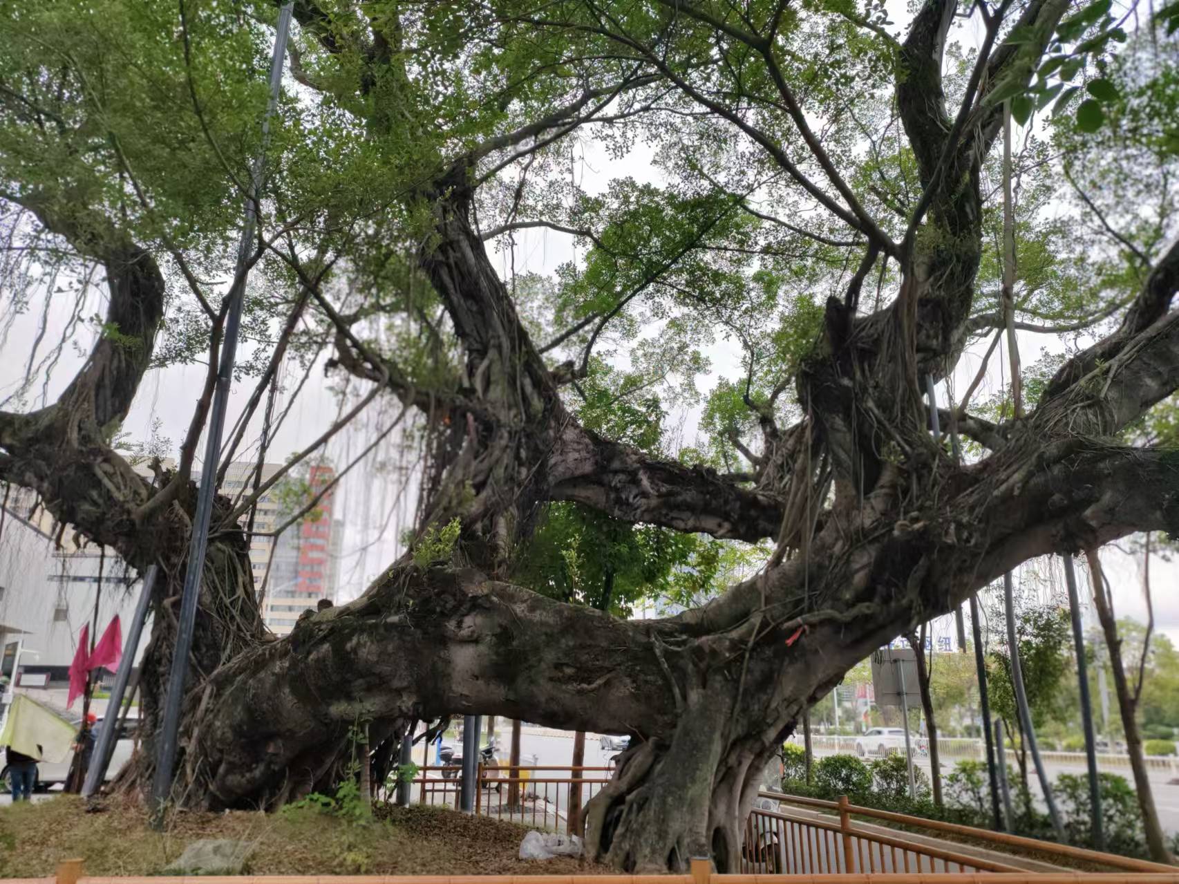 90dbdbf537180562366b2c0e6f3d3195 90dbdbf537180562366b2c0e6f3d3195