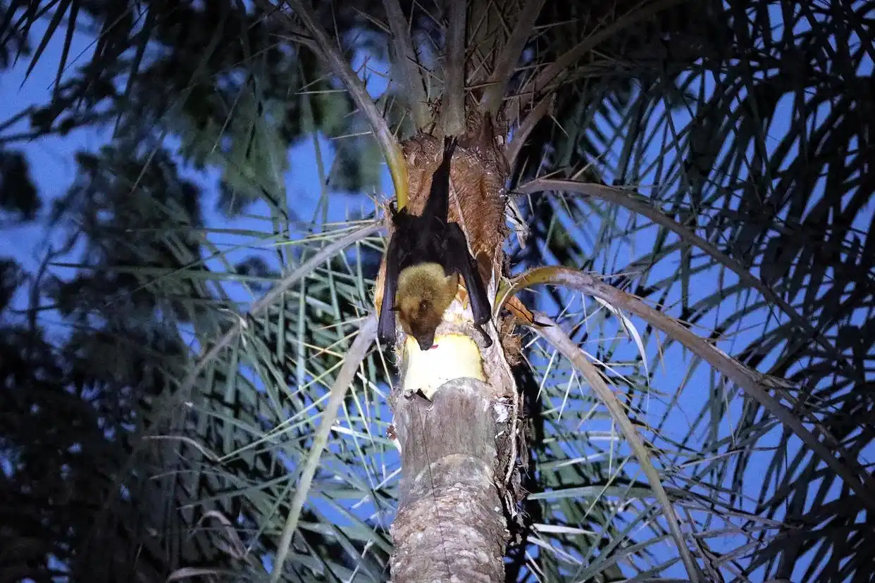 2fa3ee4a29947e2c3bb852221ef97800.webp 2fa3ee4a29947e2c3bb852221ef97800.webp