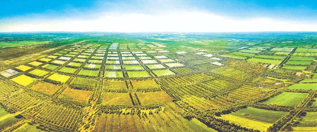 730e07330f0640a6a44851b26106802f