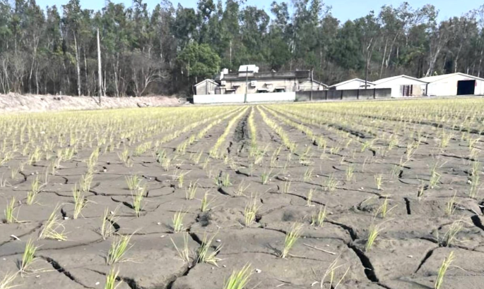 81155ae5fbd993b886f080cfcc2a08abu1