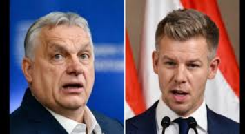 1dd965fa9d6ca97df5df6233b543f5c9