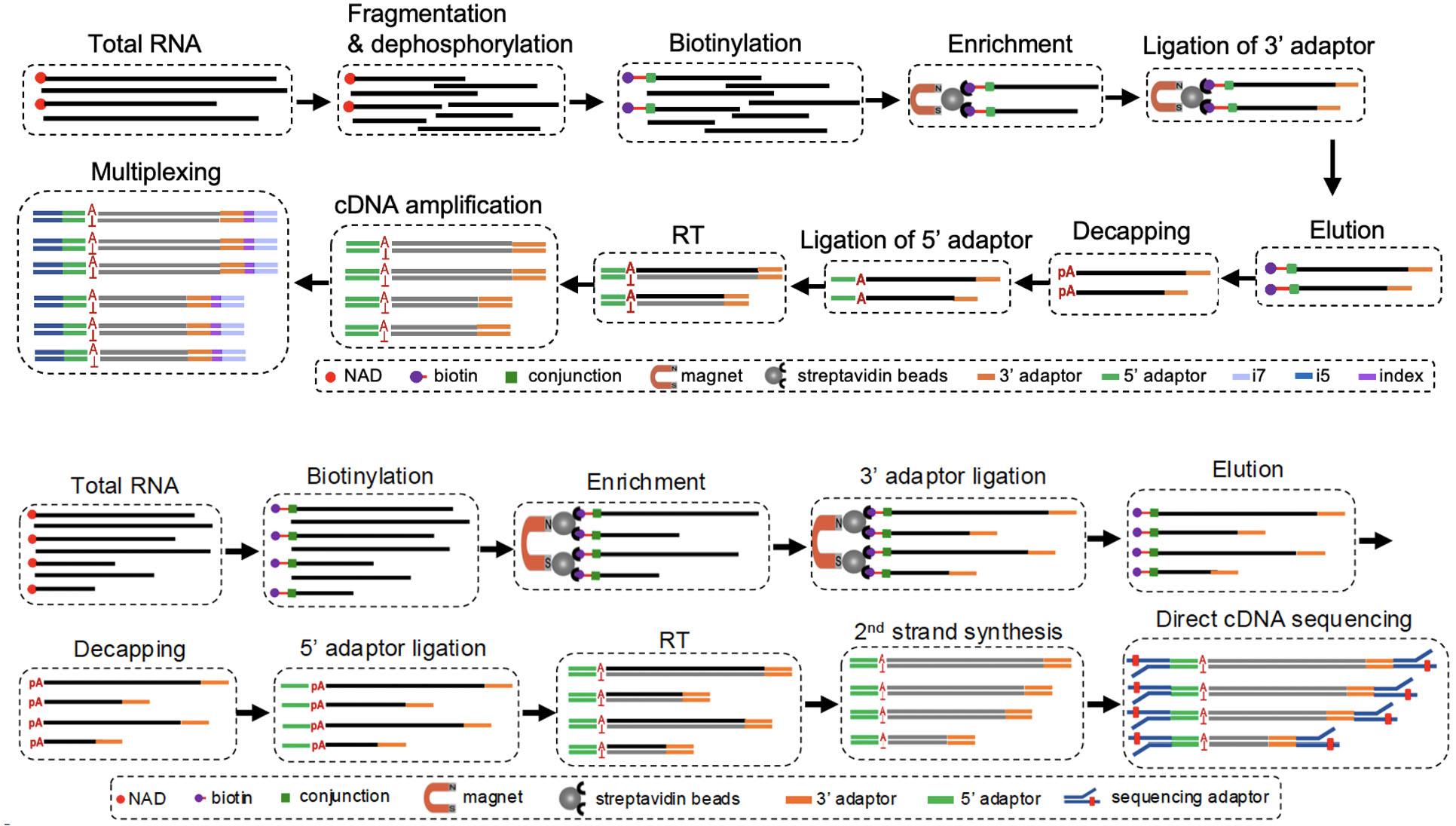 d265aa3fce15d7e7c32991d7abc19c4b d265aa3fce15d7e7c32991d7abc19c4b